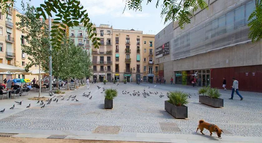 Lodging Apartments Ramblas Liceu Barcelona Spain